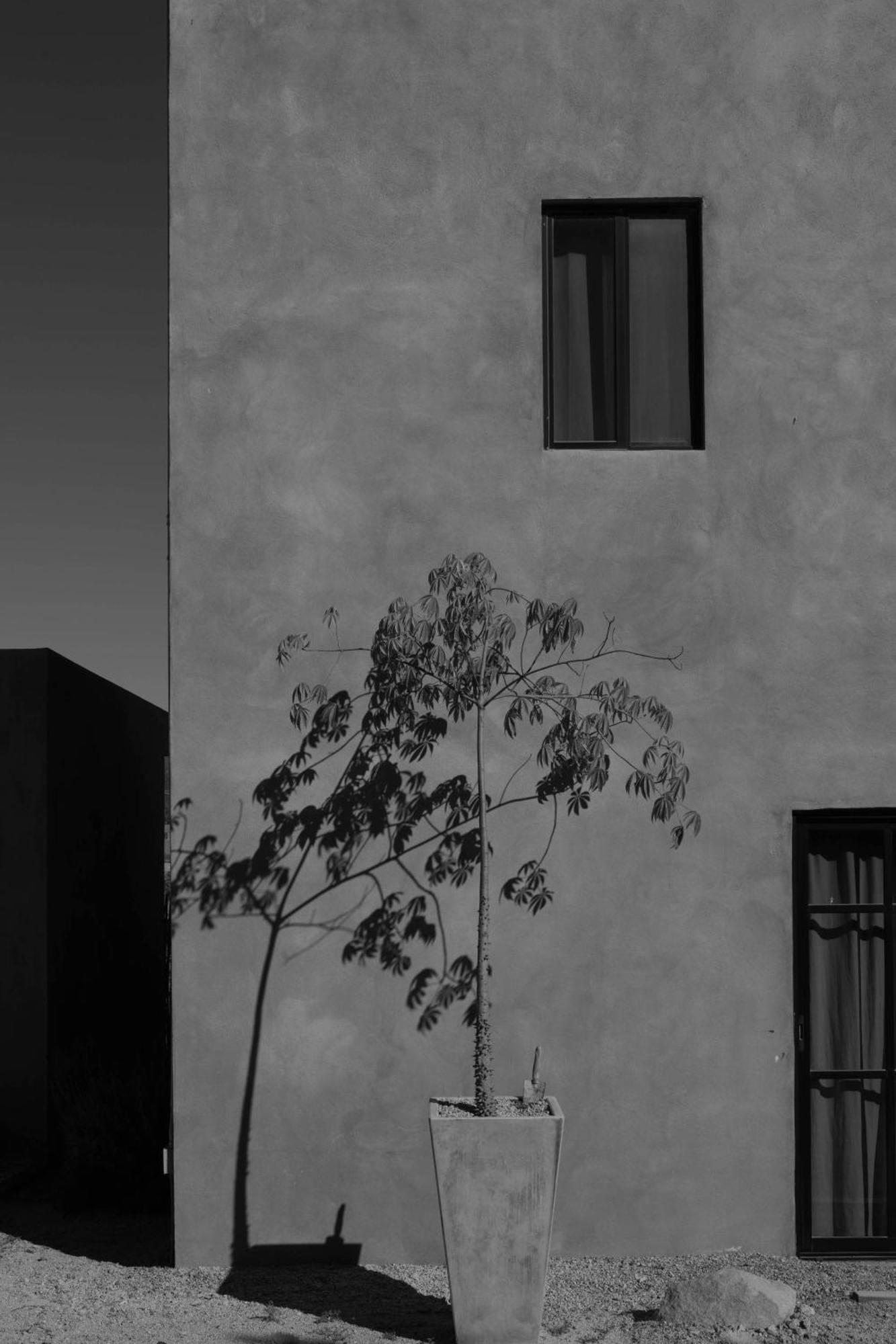Casa Michaus Valle De Guadalupe Exterior photo